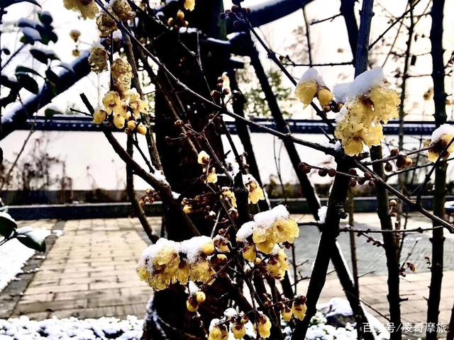 吉林森工集团召开“不忘初心、牢记使命”主题教育工作会议“Bsports必一体育”(图2) 必一