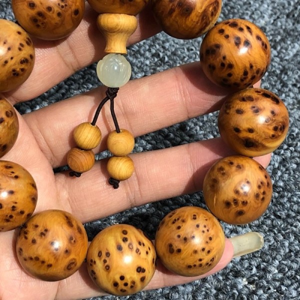 饥荒海难金币有什么用 金币怎么获取“Bsports必一体育”(图1) Bsports必一体育