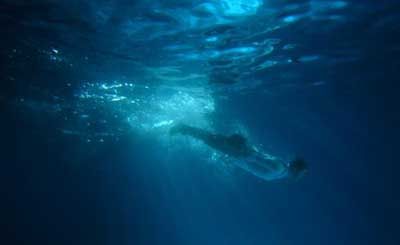 b体育-学校召开2017年党风廉政建设工作会(图1) 必一