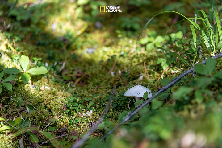 我叫mt4新手玩什么职业好 我叫mt4新手攻略‘必一’(图1) b体育