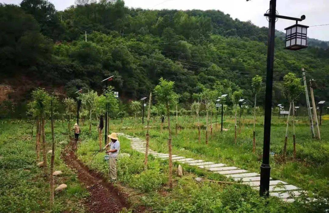 
【回眸“十三五” 展望“十四五”】加速生态林业建设 扮靓漂亮古豳大地-Bsports必一体育(图4)