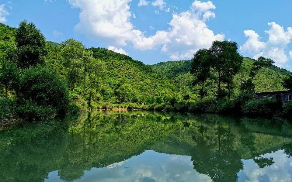 
【回眸“十三五” 展望“十四五”】加速生态林业建设 扮靓漂亮古豳大地-Bsports必一体育(图10)