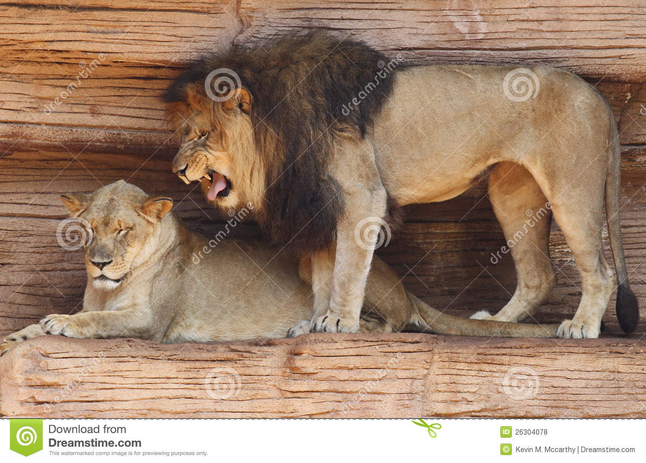 我校承担的中央财政农业技术推广重大项目启动会暨技术推广培训会在盐城召开【b体育】(图2) 必一