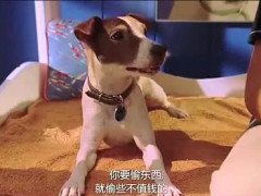 这说的啥呢第57关攻略 第57关怎么过-必一(图2) 必一