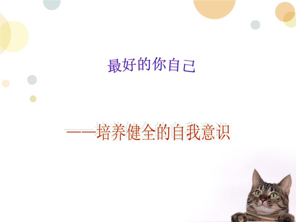 ‘b体育’建设一个风景优美的地方 重庆成立关心森林运动组委会(图5) b体育